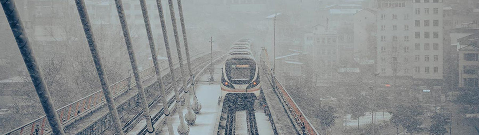 Lens & CMOS Protectors