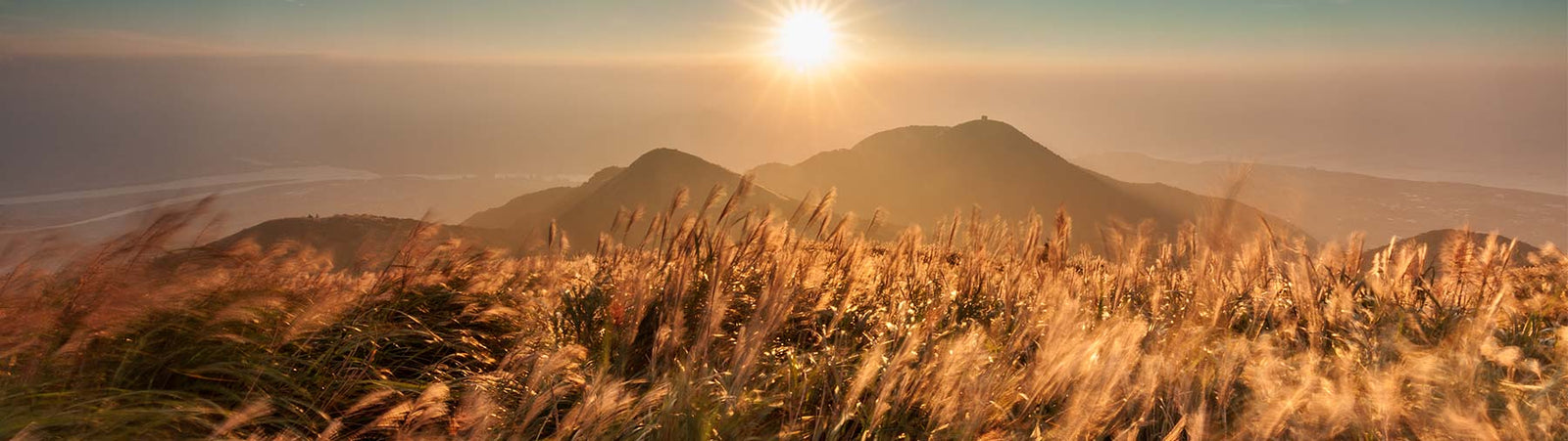 Variable Neutral Density Filters
